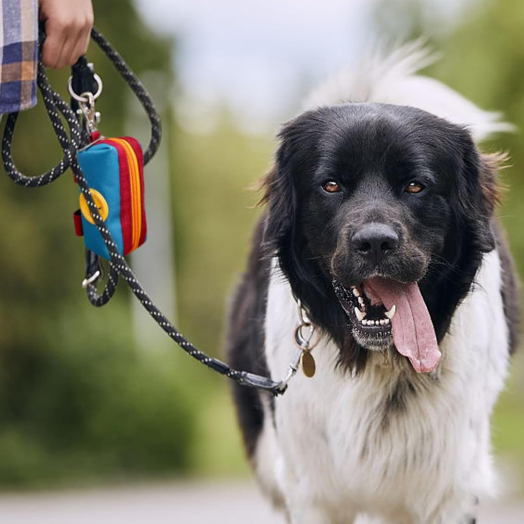Porte-bags en caca pour chien pour laisse