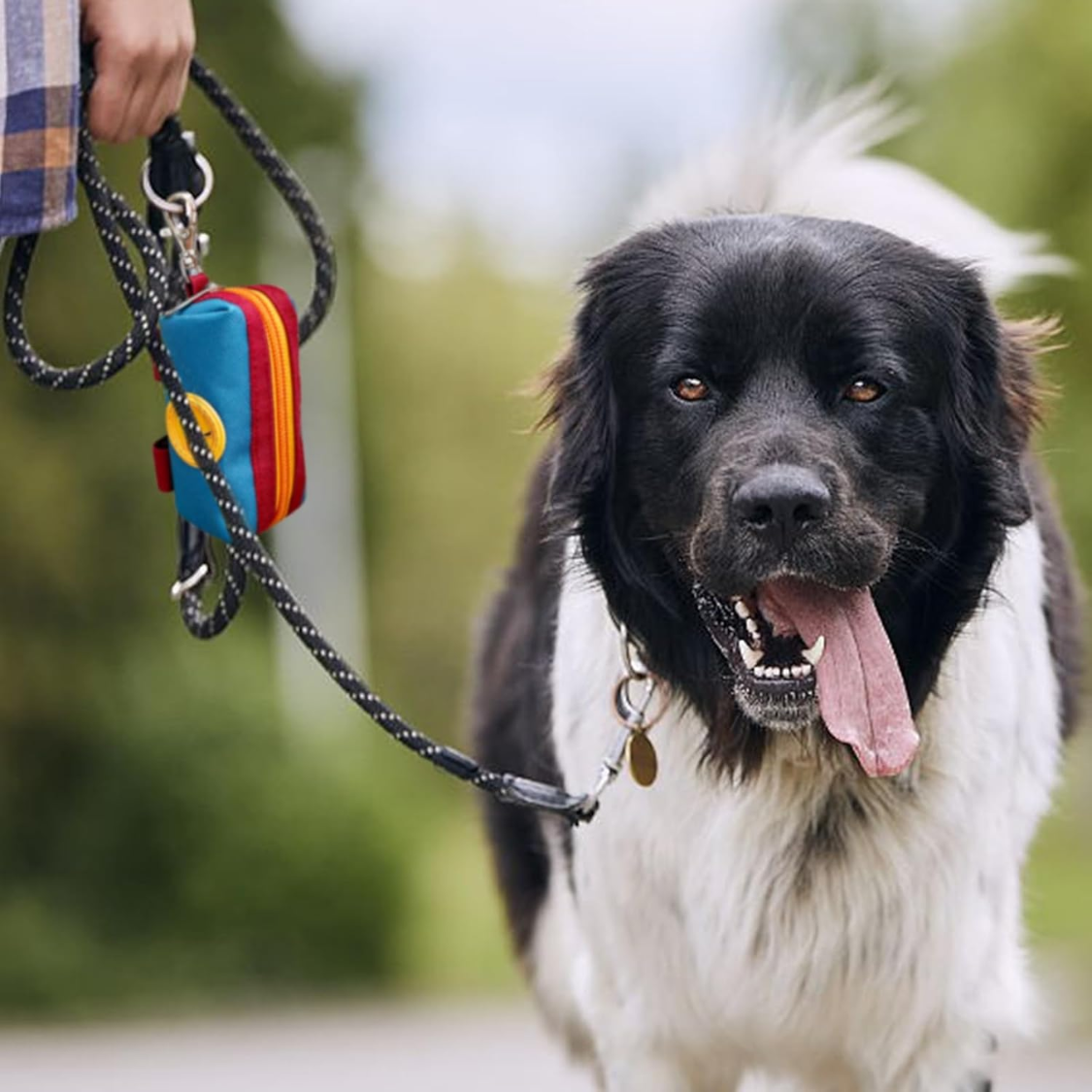 Porte-bags en caca pour chien pour laisse
