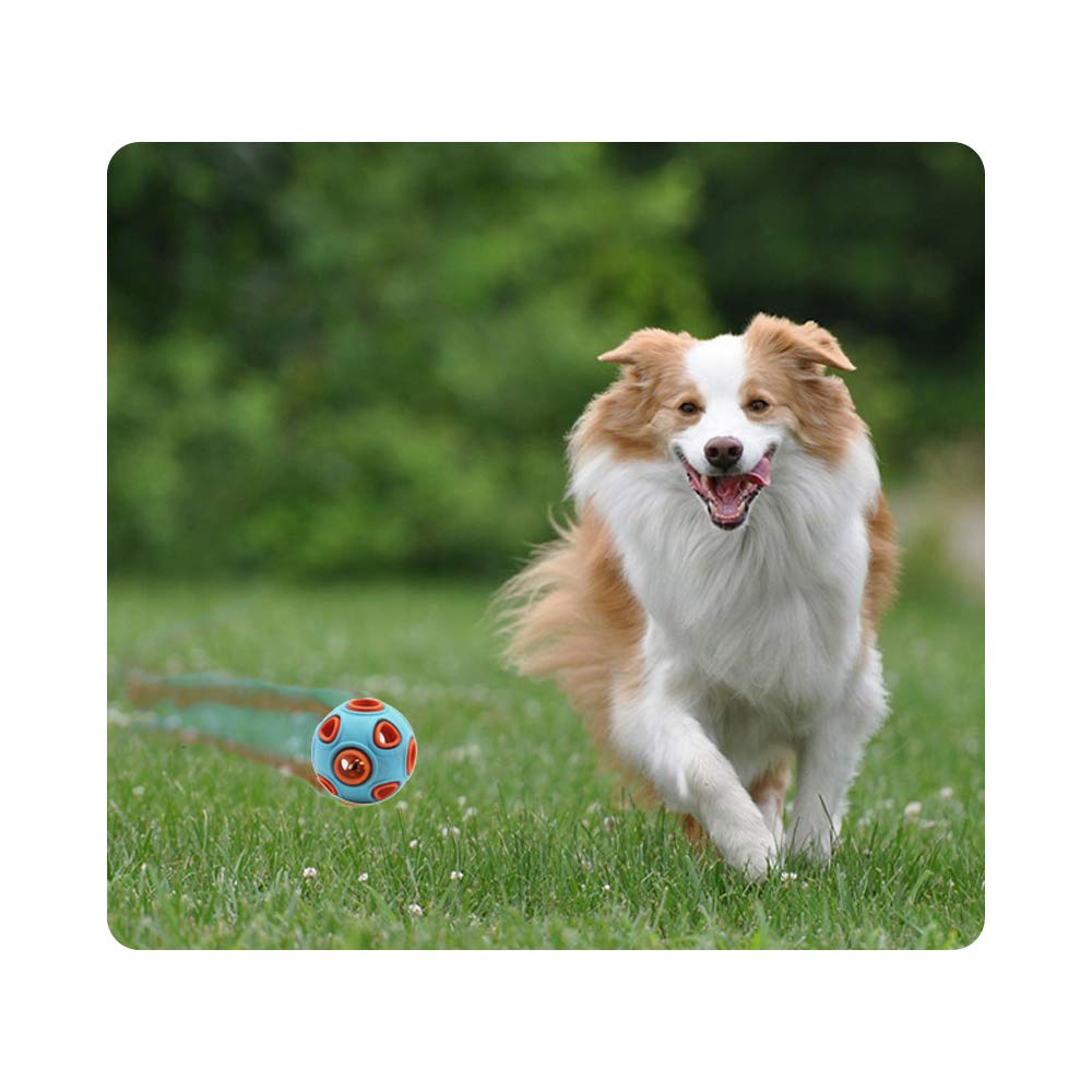 Jouet de boule de chien