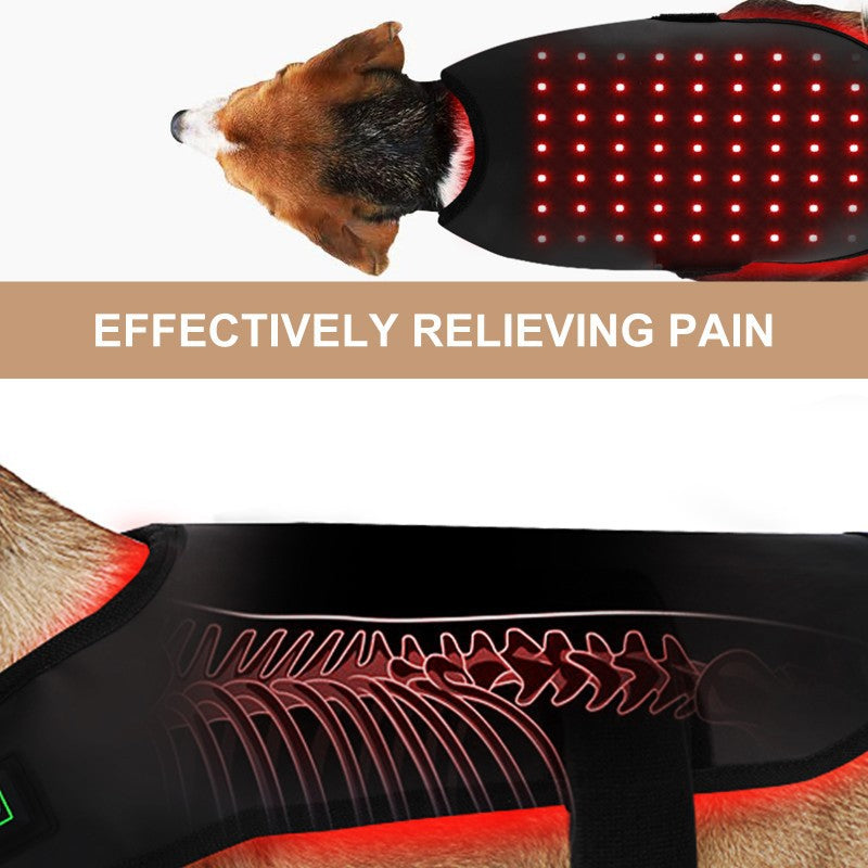 Appareil de thérapie infrarouge à lumière rouge Pet