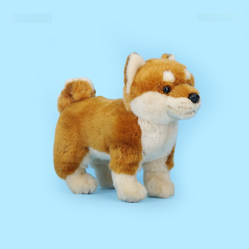 Cadeau d'anniversaire pour enfants Un chien Akita mignon