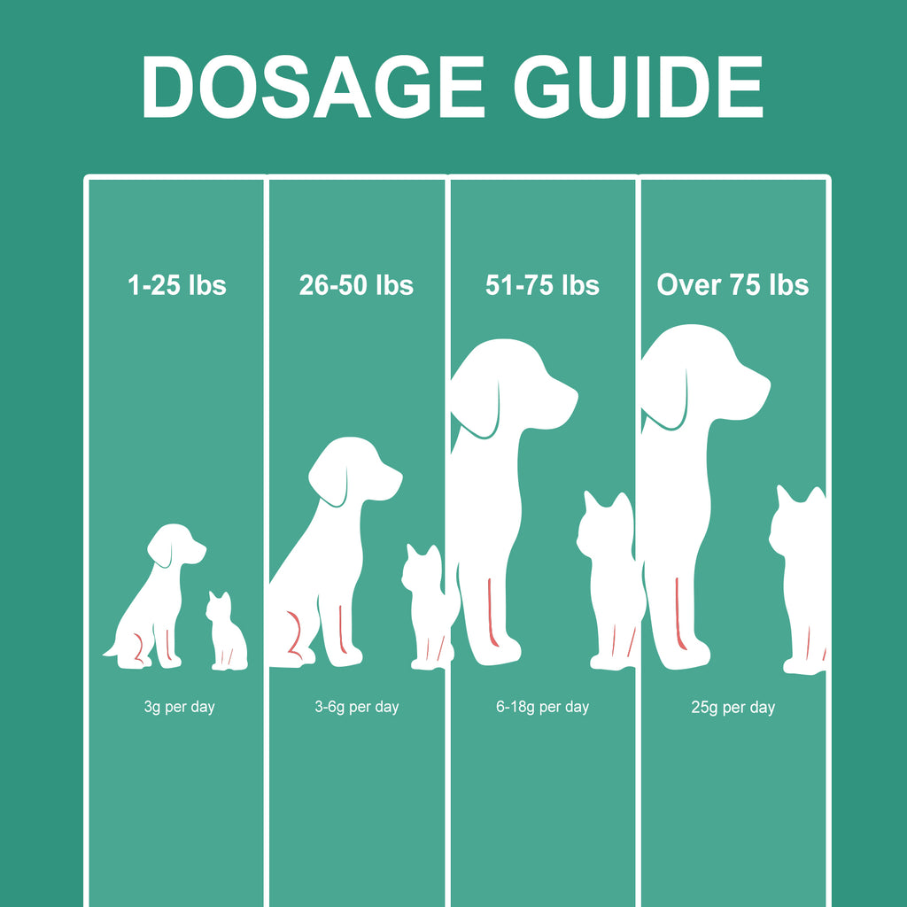 Poudre de nettoyage des dents des animaux de compagnie