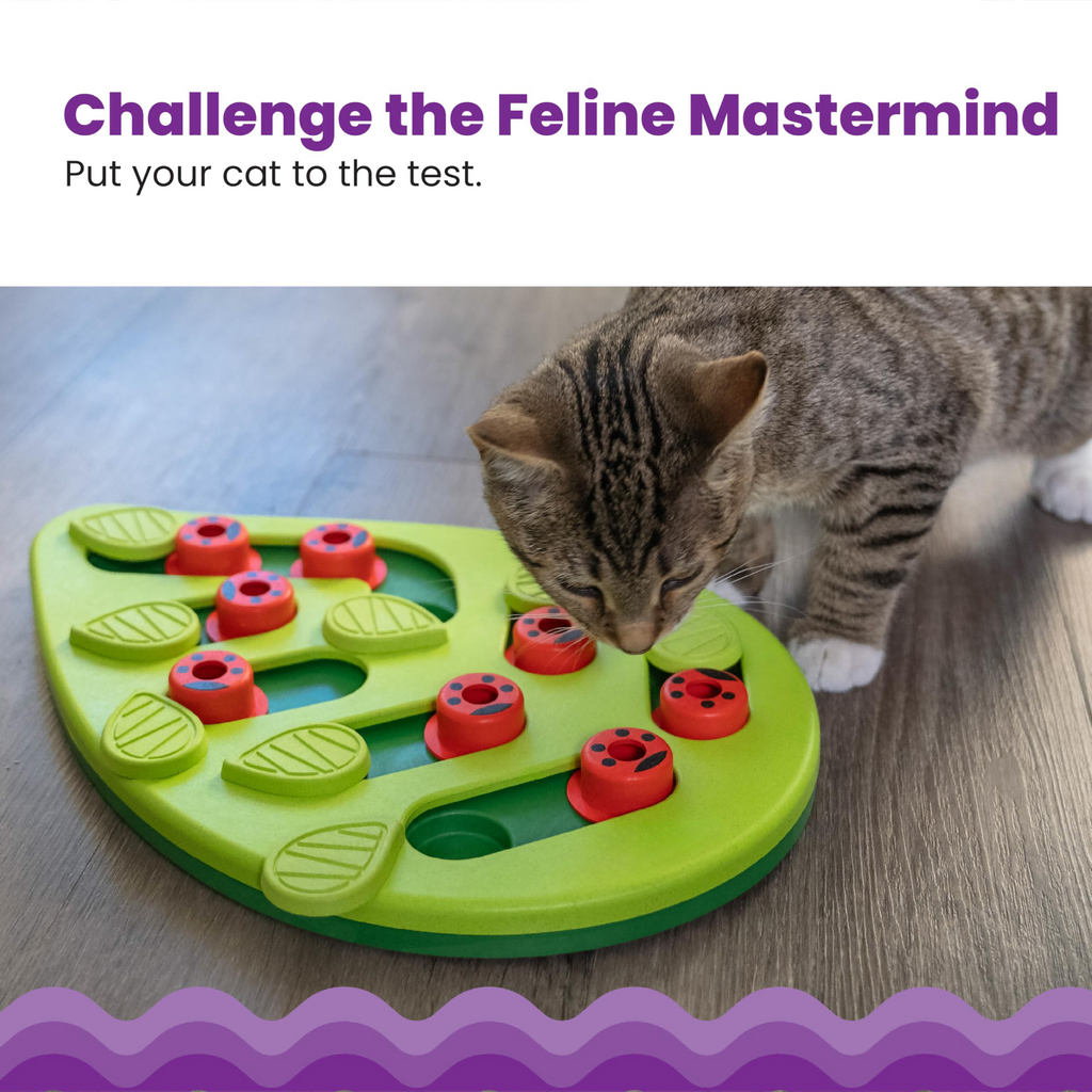 Nina Ottosson Buggin Out Puzzle & Play Cat Puzzle Feeder - Jeu interactif de traite pour Indo