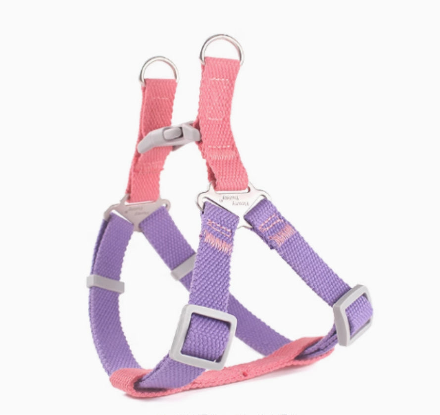 Contraste couleur Vest-style Pet's Chest-back Traction chien laisse