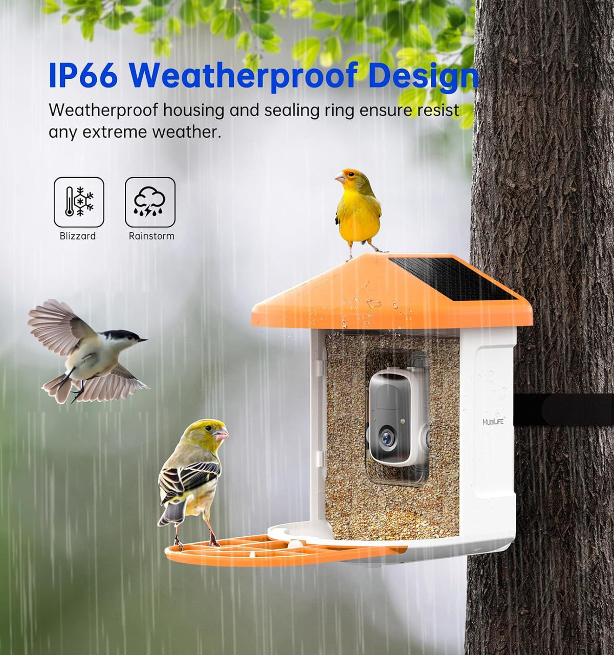 Smart Feeder Wireless Surveillance Camera