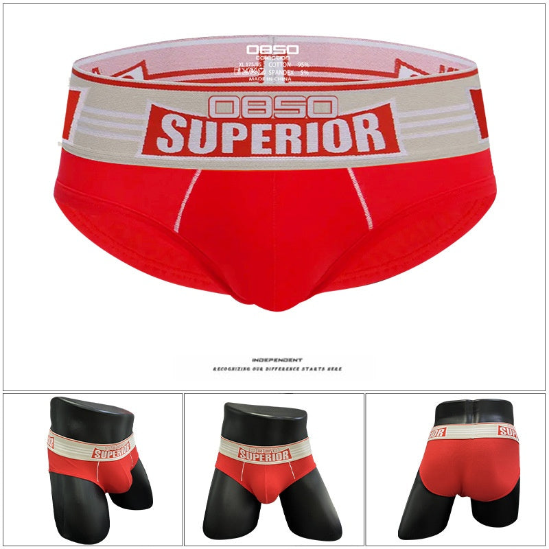 Sous-vêtements pour hommes Sexy Low Waist Coton Sports Fitness Anti-wear Slips pour jambes