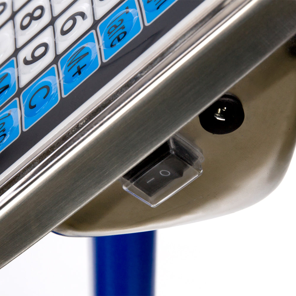 Échelle de banc de 300 kg Échelle d'affichage LCD standard américain Kg