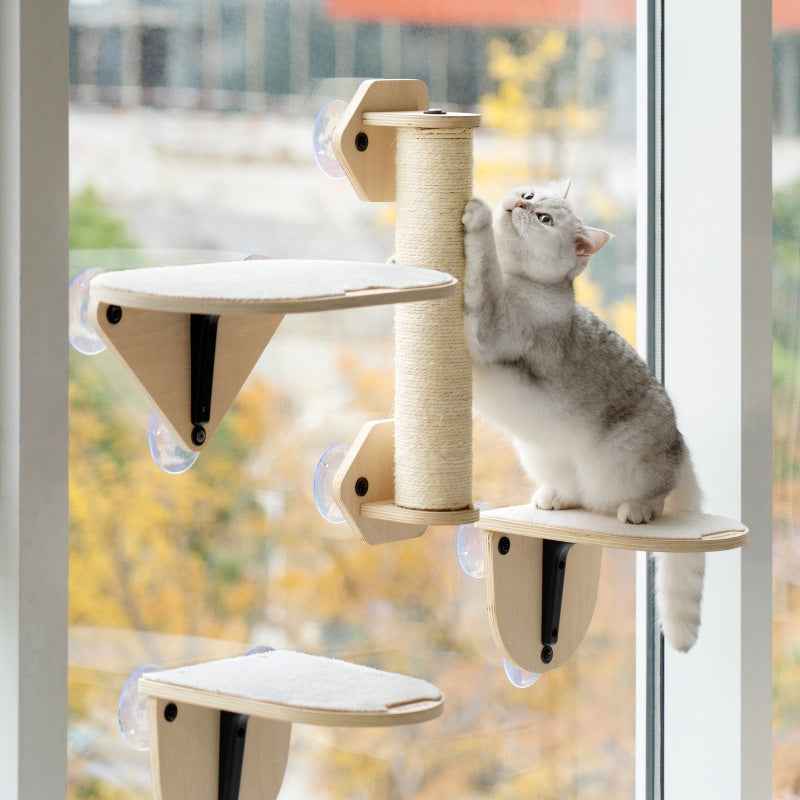 Meow Hu Wang est aussi Cat Scratch Trees ne couvrant pas une zone de mur de verre