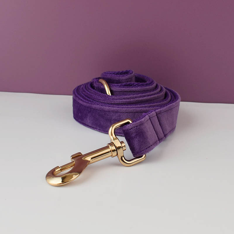 Collier de chien en peluche et fournitures pour animaux de compagnie en laisse