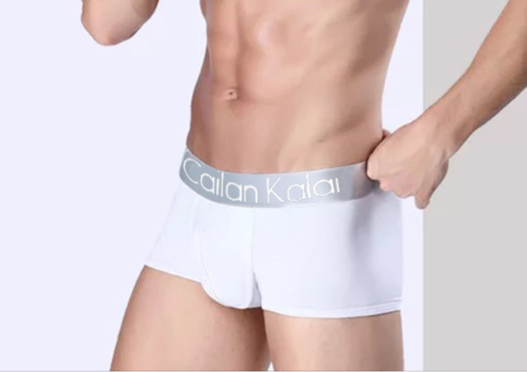Sous-vêtements pour hommes Boxers Modal Breathable Boxer