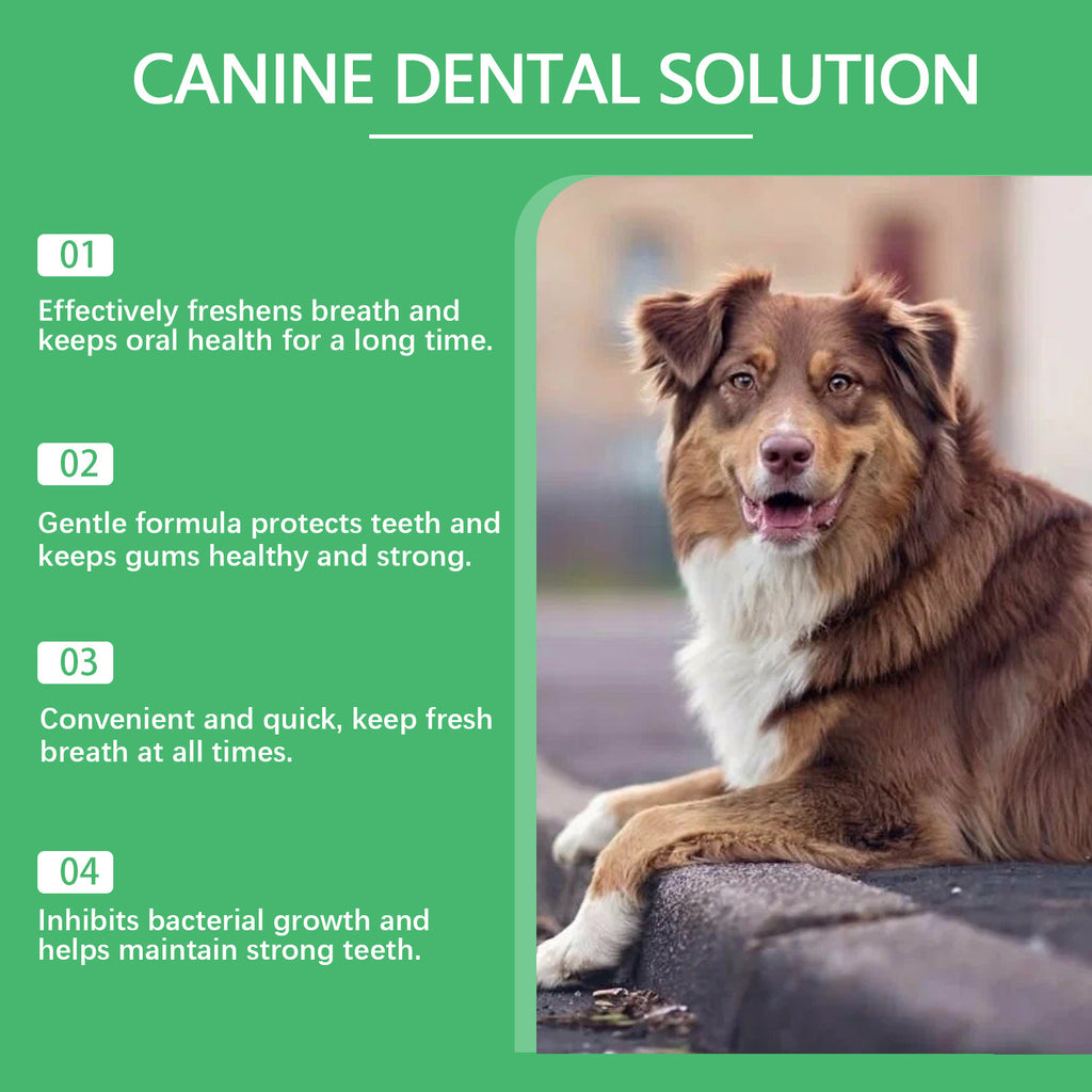 YEGBONG Pet Dental Water for Dogs