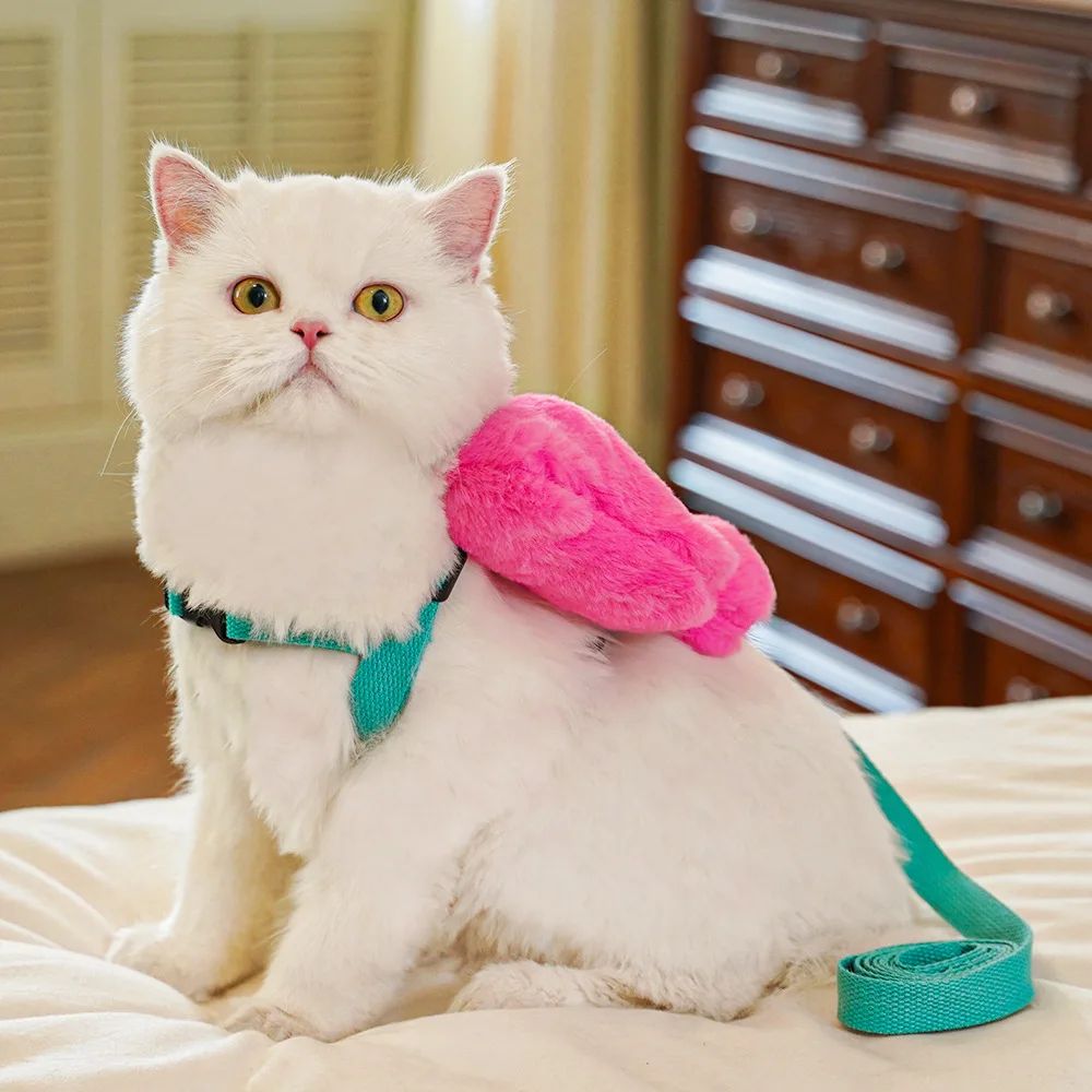 Pet Bow Cost Strrap Traction Rope de marche chien corde et chat sortir mignon Bow Self Bac