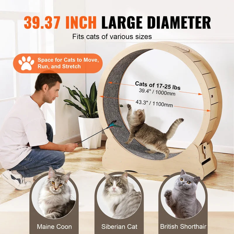 Roue d'exercice de chat en bois Grande roue tapis de chat pour roues de course de chat intérieur avec Deta