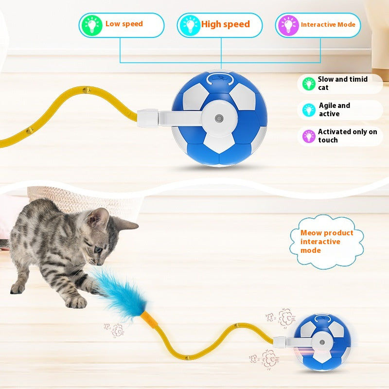 Balle interactive de saut d'animaux de compagnie à l'auto-Hi pour chat électrique résistant aux piqûres