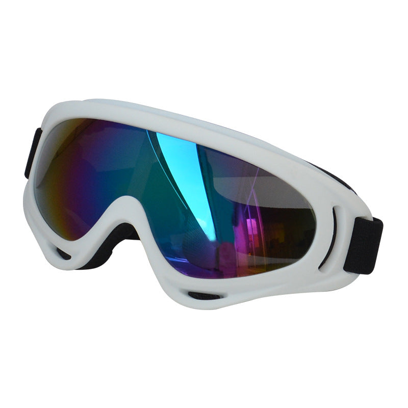 Lunettes de soleil extérieures pour chiens Décoration