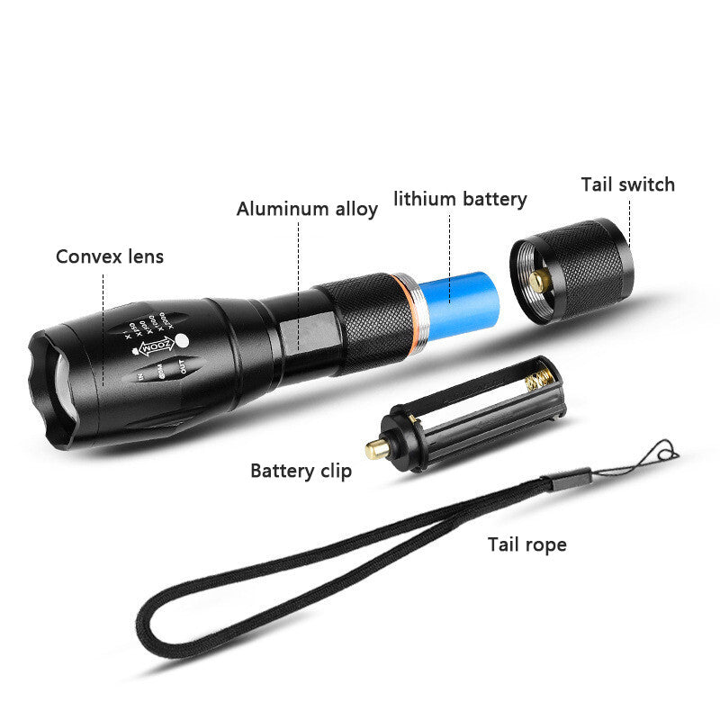 2x Lampe de poche UV LED Ultra Violet Blacklight Chasse Light Torch