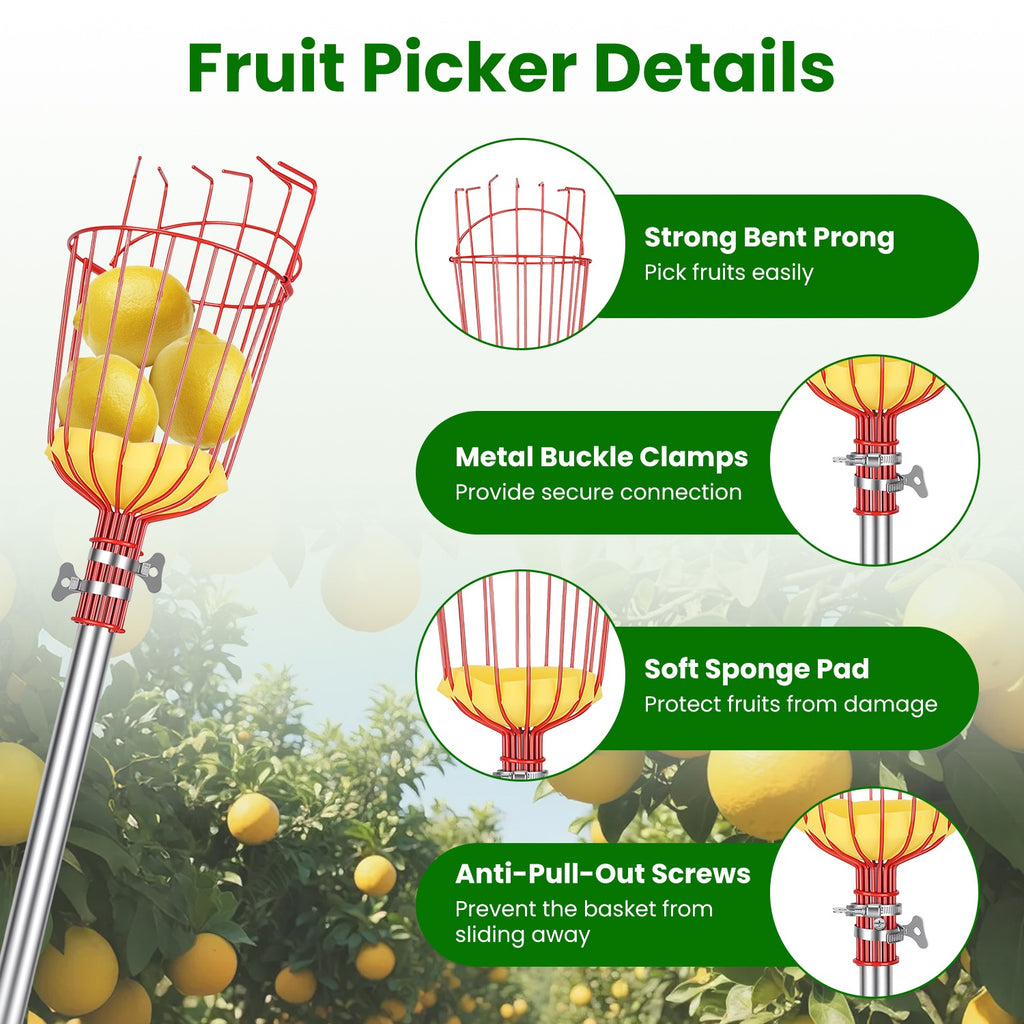 14.4FT OU 10.9FT Option 2-en-1 Picker de scie et de fruits avec Pol en acier inoxydable extensible