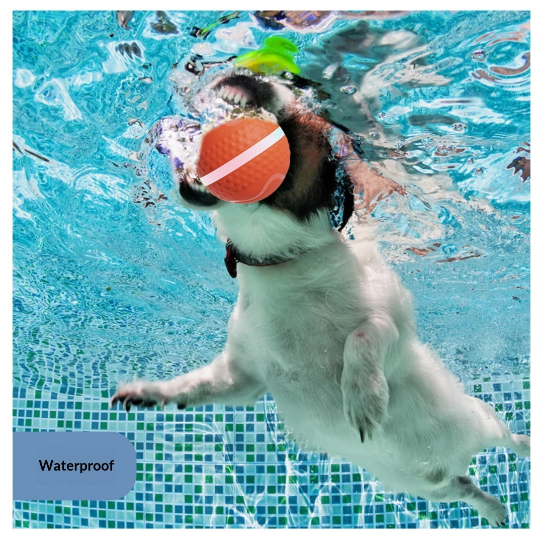 Jouet de chien de boule électrique lumineux et de chat