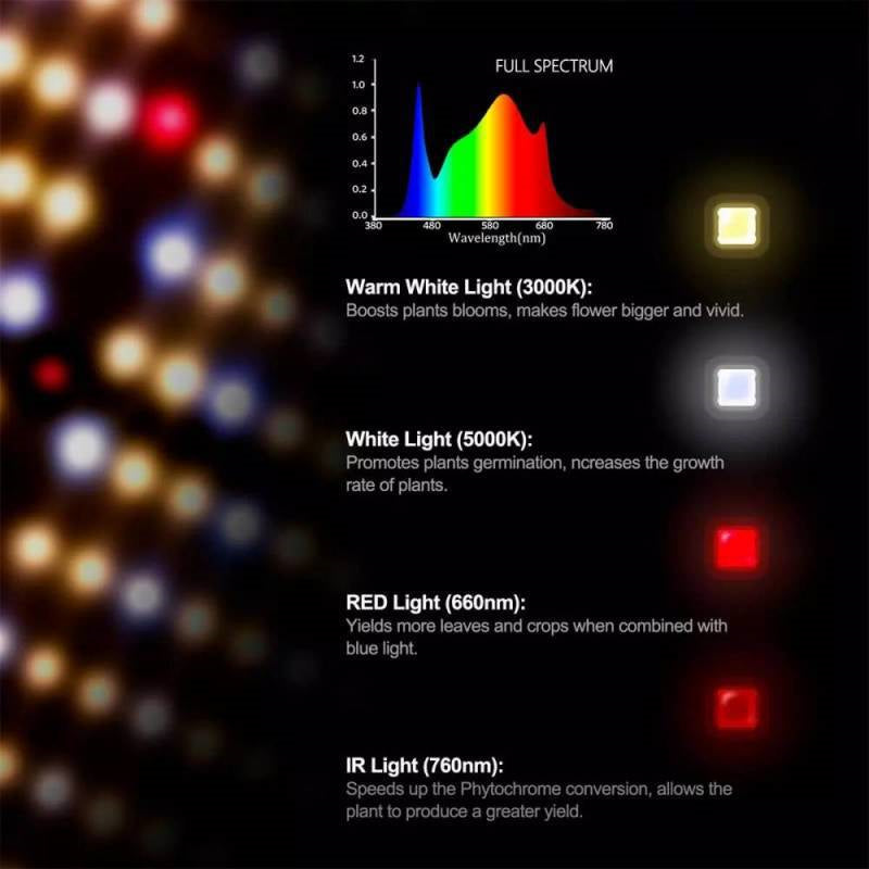 ETL Certified Mingwei Power Supply LM301B Quantum Edition Lampe