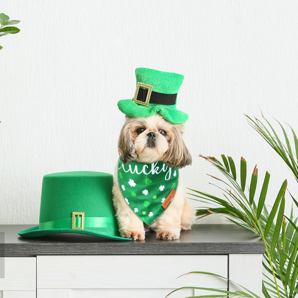 Bandanas de chien de St. Patrick