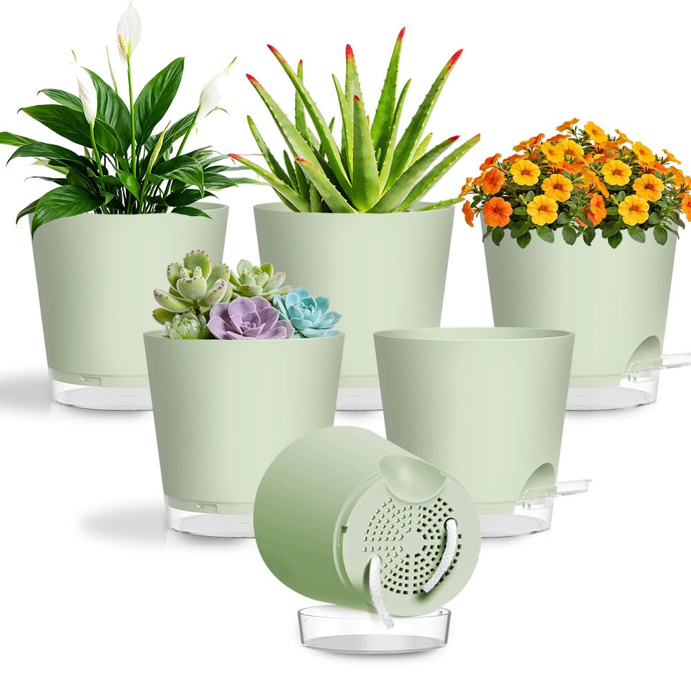 6 Pots de fleurs vertes avec fond transparent