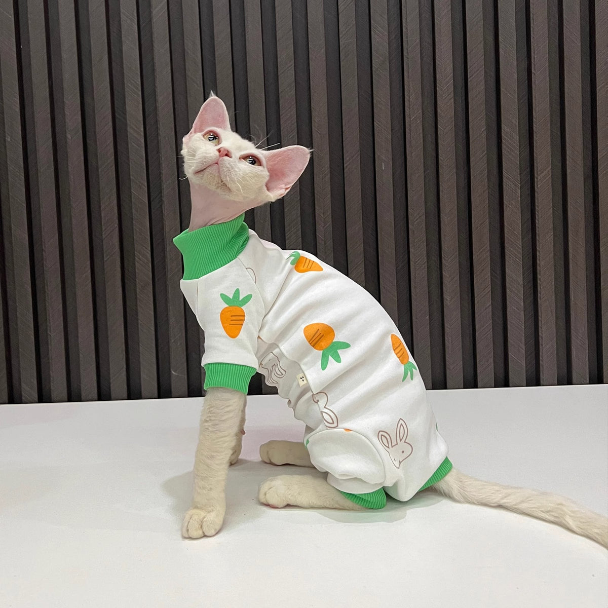 Le printemps et l'automne sans cheveux Cat tout inclus Anti-linte manches Cat vêtements