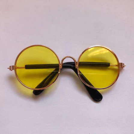 Lunettes de soleil pour chats