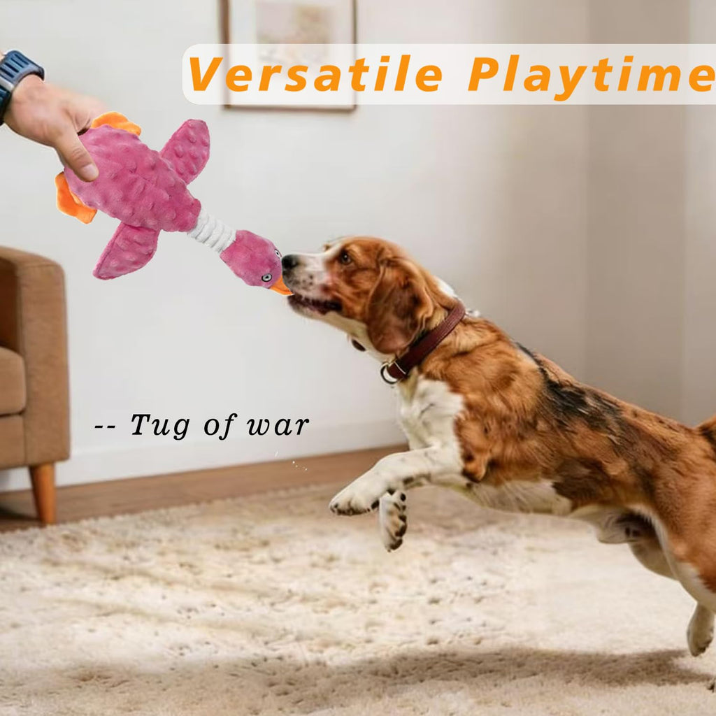 Jouets de chien pour chewers agressifs