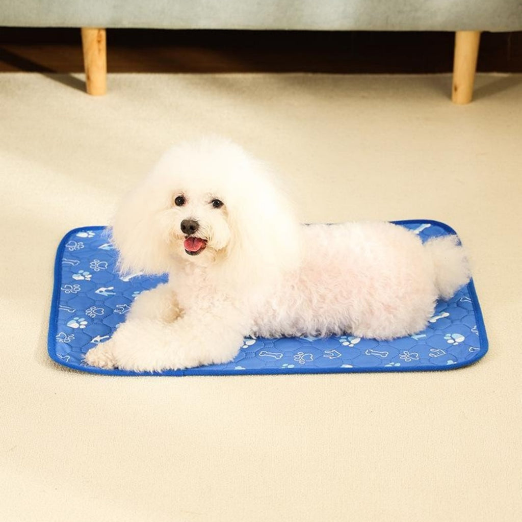 Les tampons d'entraînement pour chiens absorbants respirants sont antidérapants lavables à la machine et conçus pour préverrier