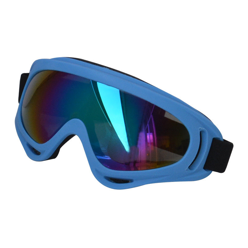 Lunettes de soleil extérieures pour chiens Décoration