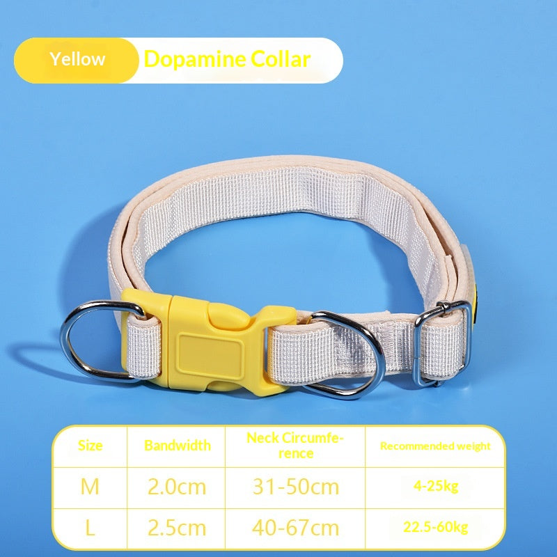 Collier de collier de chien collier