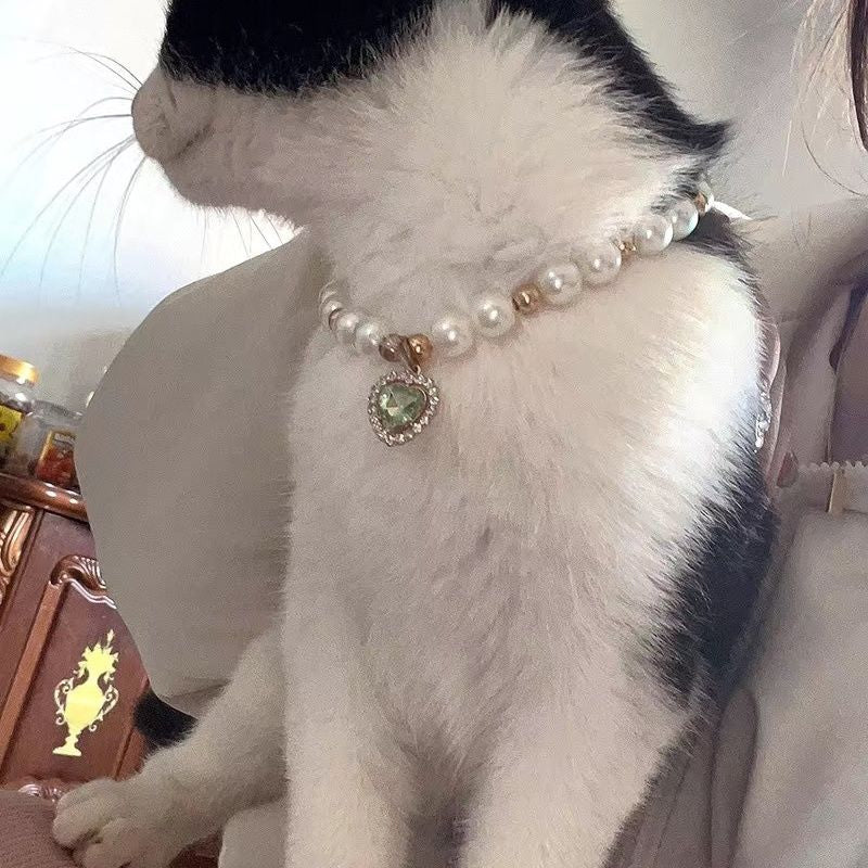 Internet populaire Celebrity Cat Pearl Collier