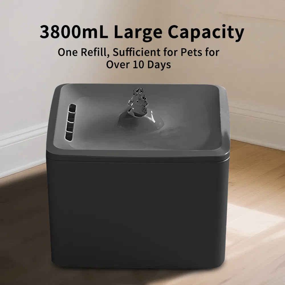 Distributeur d'eau pour animaux de compagnie carré