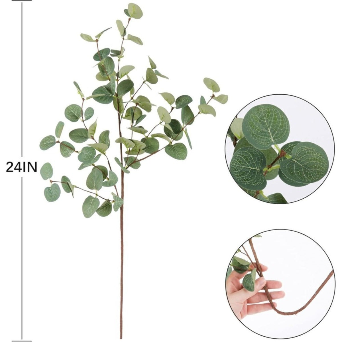 6 branches artificielles de l'eucalyptus