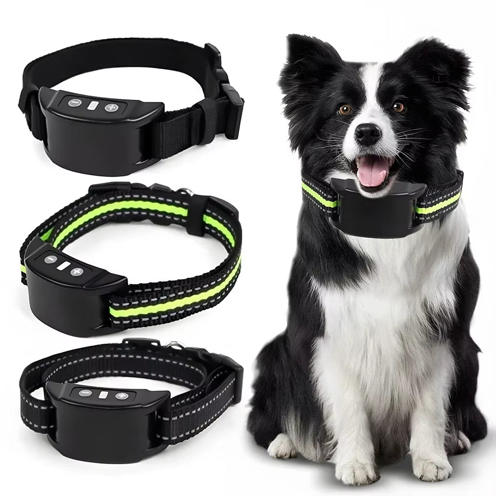 Collier de chien USB Rechargeable Trainer électrique Vibration Shock Beep Dog Training Collar Anti
