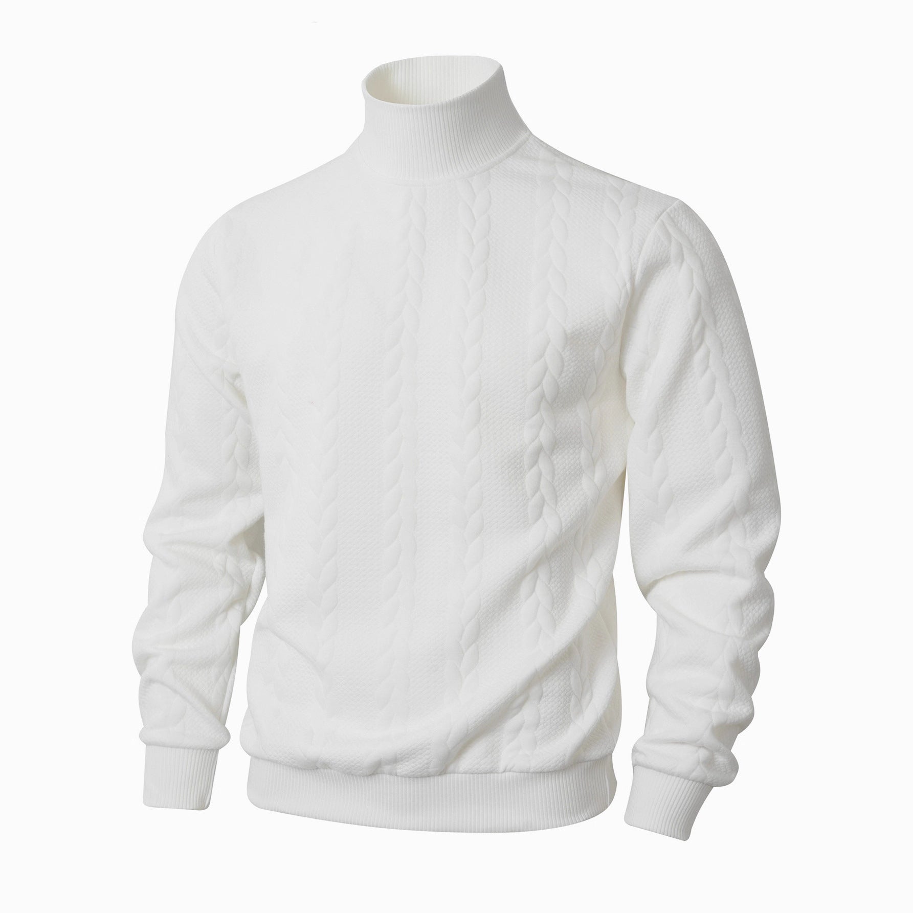 Hommes Mode Jacquard Col Tortue Chandail chaud