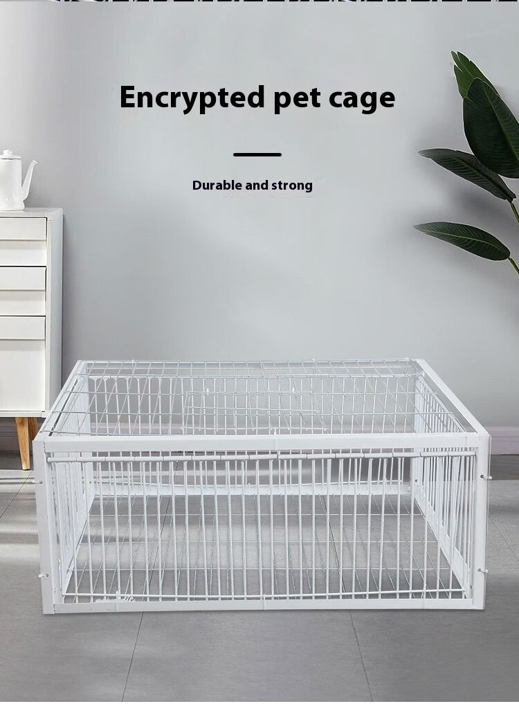 Cage de retour chiffré de porte en réseau actif Pigeon