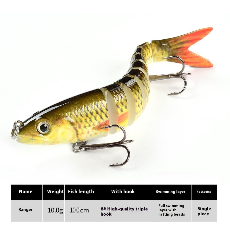 Morceau de lièvre bionique de poissons multisections