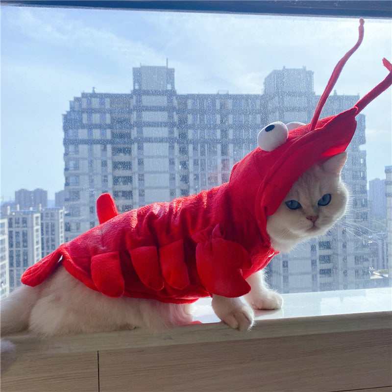 Halloween Cat Lobster Vêtements Année Noël