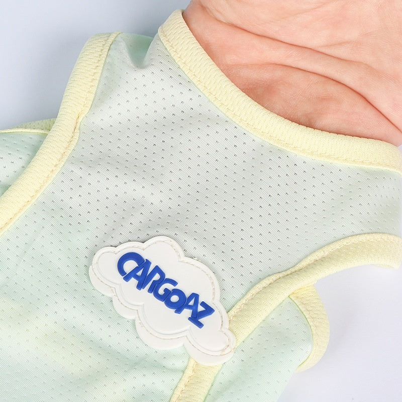 Veste mince d'été de chat anti lint