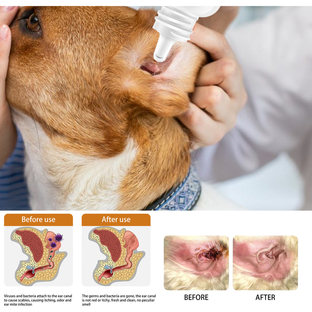 Solution de nettoyage de l'oreille des chats et des chiens