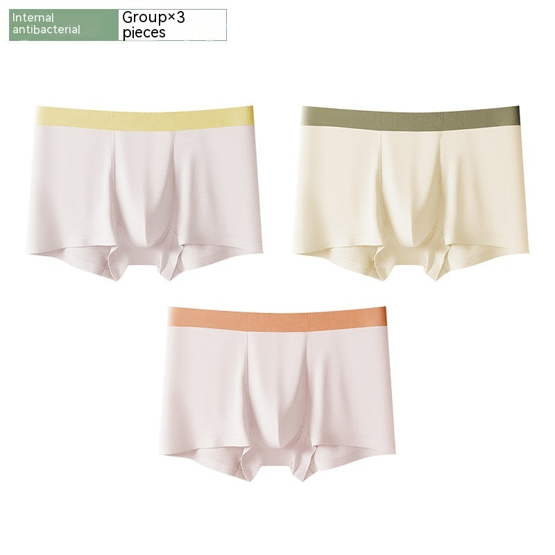 Short antibactérien sans couture