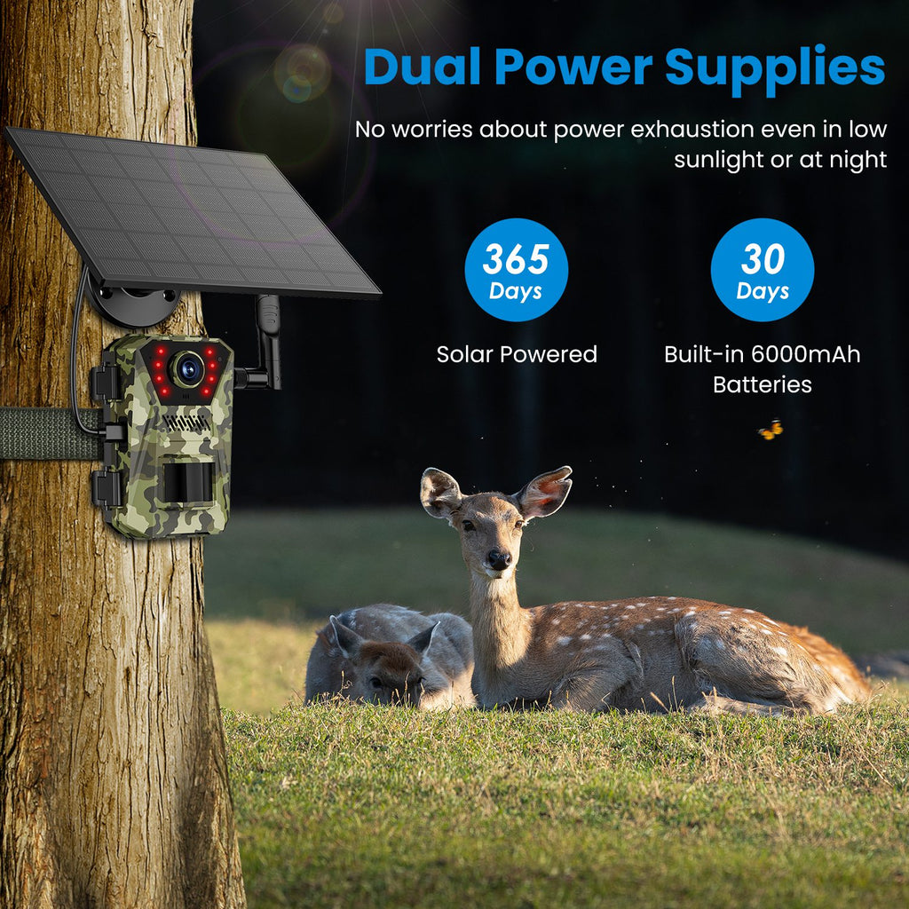 1Pc 4G 4K 30FPS Solar Trail Camera Outdoor Wildlife Camera Motion activé IP66 Waterproo