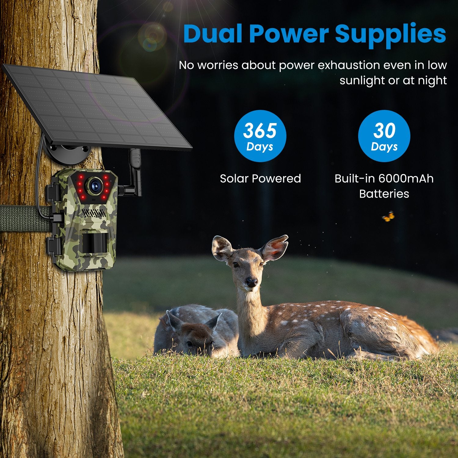 1Pc 4G 4K 30FPS Solar Trail Camera Outdoor Wildlife Camera Motion activé IP66 Waterproo