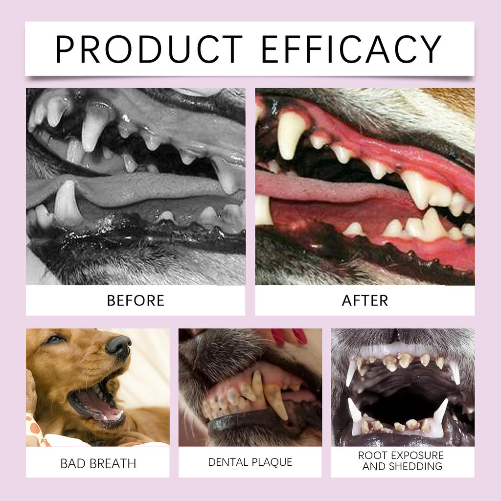 Spray de soins dentaires pour animaux - Solution de nettoyage des dents pour chiens et chats