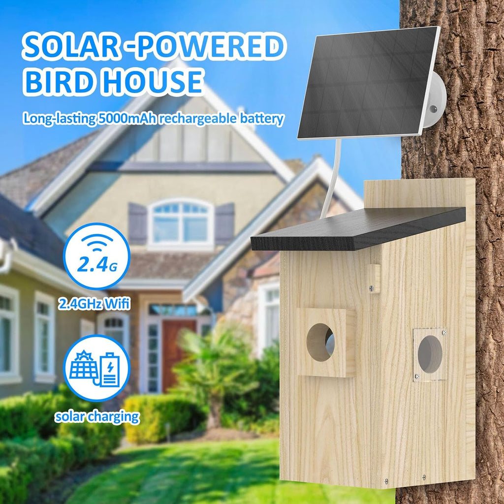 Maisons d'oiseaux intelligentes pour l'extérieur solaire alimenté