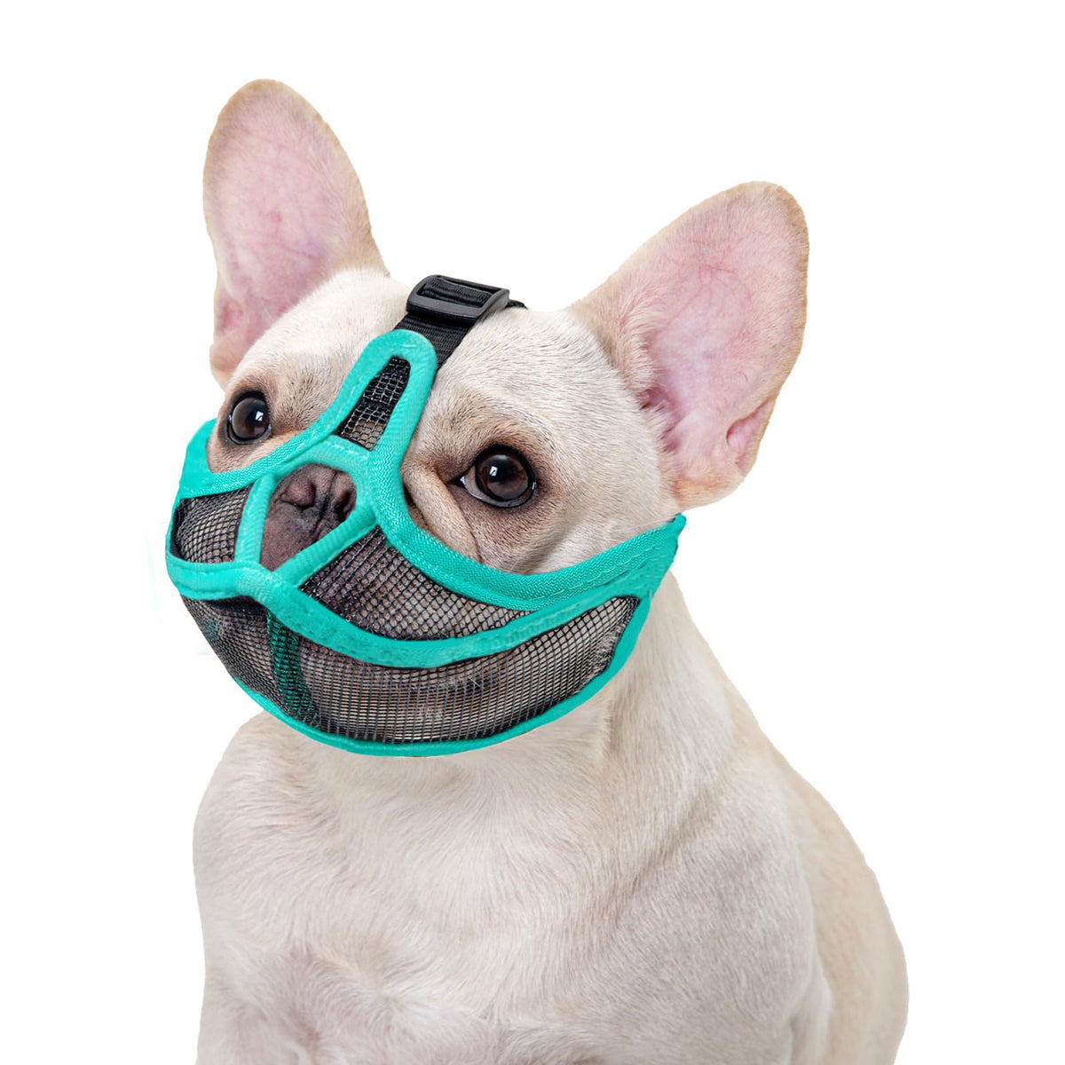 Muselière française Anti-Bite Fumée Respirante Pug Dog Masque visage Pet