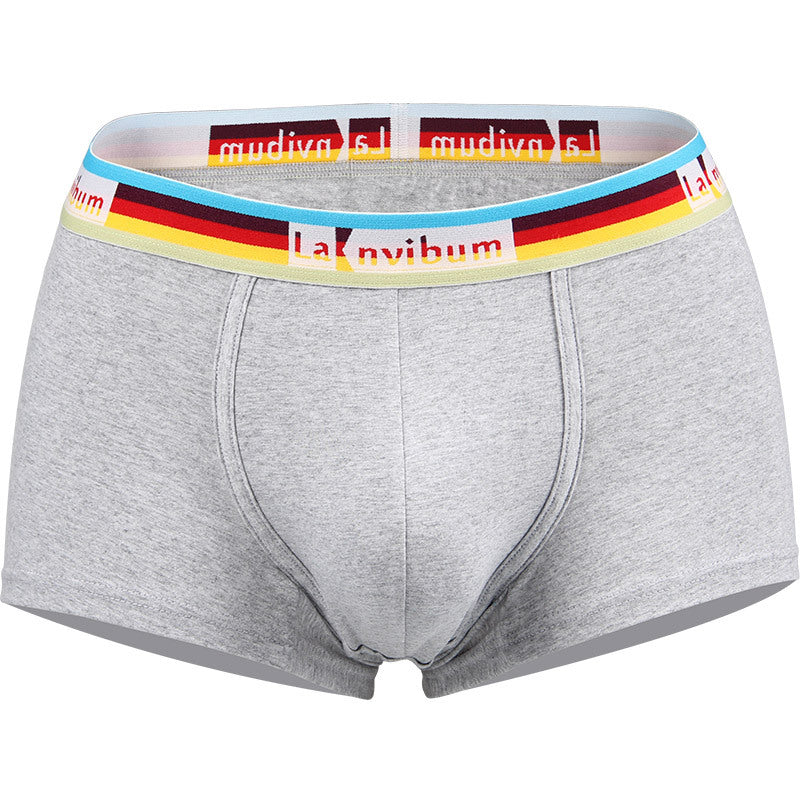 Sous-vêtements pour hommes en coton taille moyenne Rainbow Belt Boxer Short