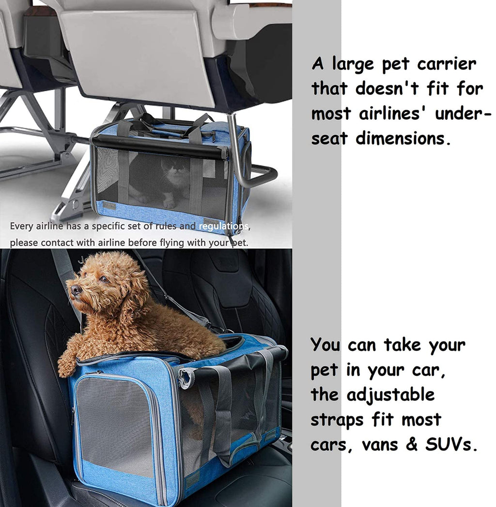 Transporteur pour chats grands et moyens