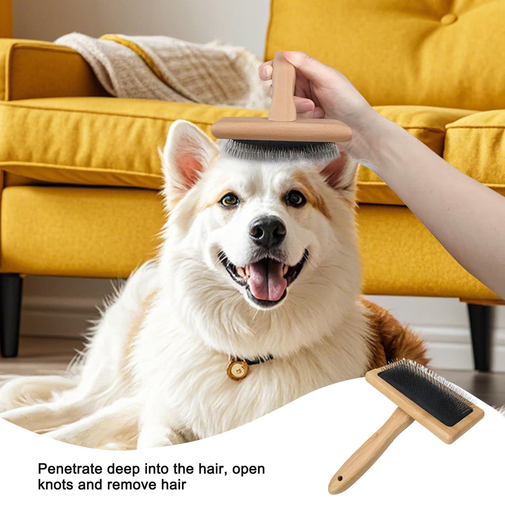 Brosse pour chien et chat